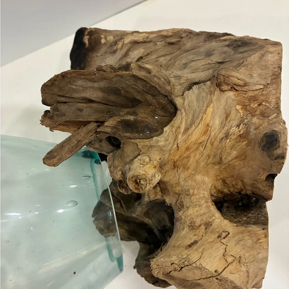 Atrium/Fishbowl Glass Teak Burl Wood Fishbowl/Airplant Display
Molten Glass - Picture 12 of 14